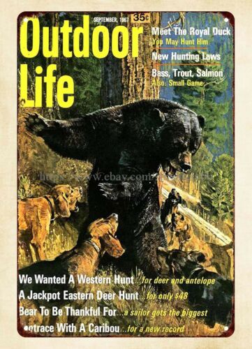 Outdoor Hunting Dogs - Dekoracja ścienna do biura 1967 Outdoor