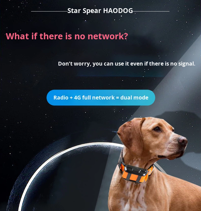 Obroża z GPS i lokalizacją rad – Outdoor Hunting Dogs recenzja i cena